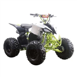 Nuovo Quad Raptor 125cc